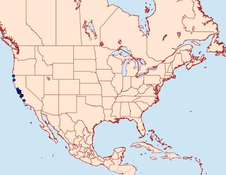 Distribution Data for Cerastis cornuta