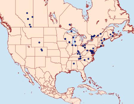 Distribution Data for Abagrotis cupida