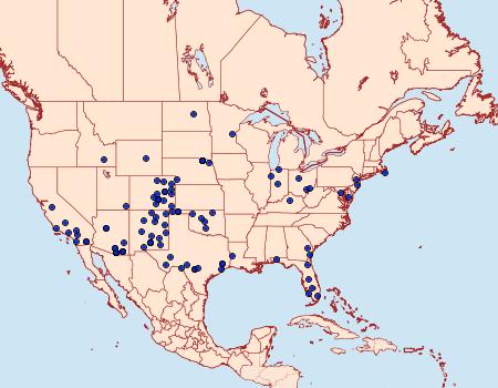 Distribution Data for Heliocheilus paradoxus