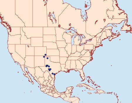 Distribution Data for Schinia biforma