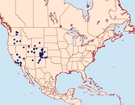 Distribution Data for Schinia unimacula