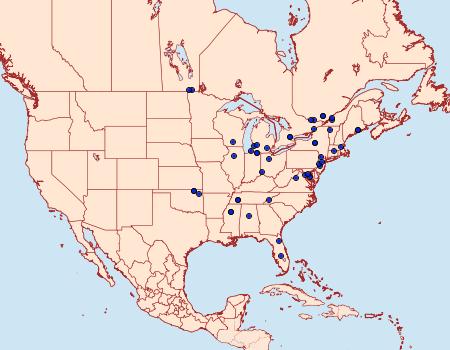 Distribution Data for Coleophora tiliaefoliella