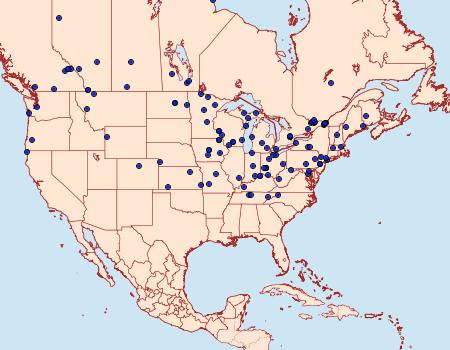 Distribution Data for Coleophora trifolii