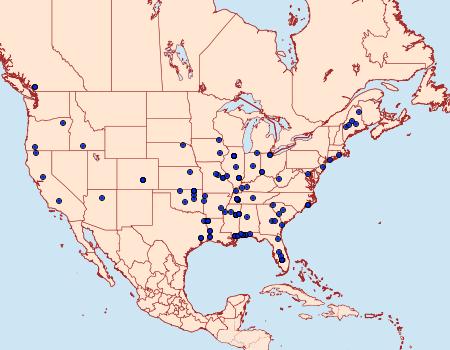 Distribution Data for Mompha circumscriptella