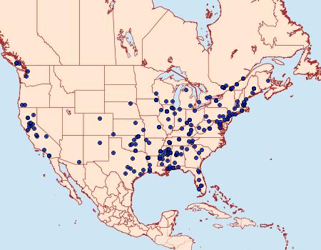 Distribution Data for Mompha eloisella