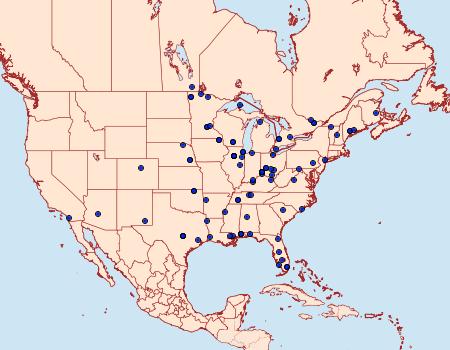 Distribution Data for Cosmopterix pulchrimella