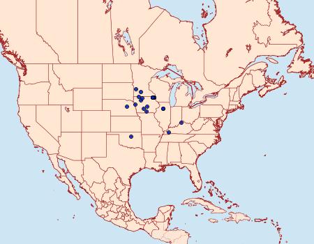 Distribution Data for Walshia amorphella