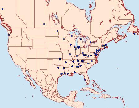 Distribution Data for Coleotechnites florae