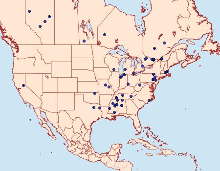 Distribution Data for Sinoe chambersi