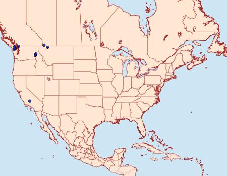 Distribution Data for Greya obscuromaculata