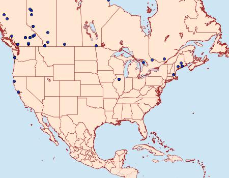 Distribution Data for Bryotropha similis
