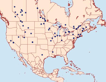 Distribution Data for Gelechia lynceella