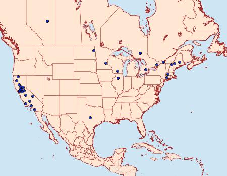 Distribution Data for Gelechia versutella