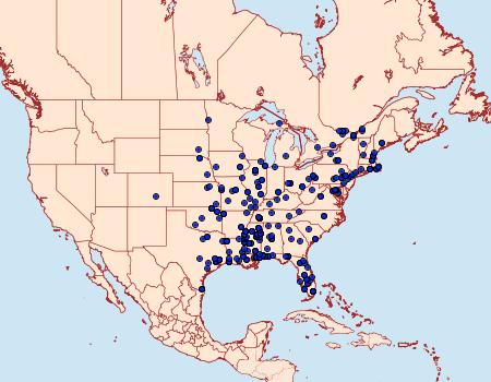 Distribution Data for Chionodes discoocellella