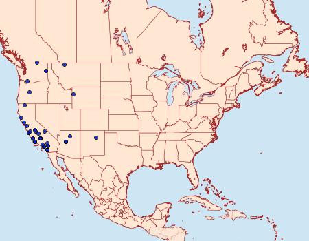 Distribution Data for Aroga paraplutella