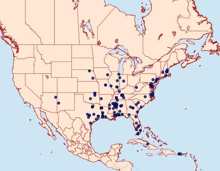 Distribution Data for Polyhymno luteostrigella