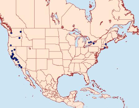 Distribution Data for Platyedra subcinerea