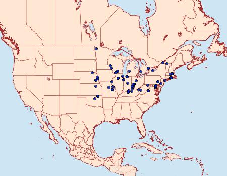Distribution Data for Helcystogramma hystricella