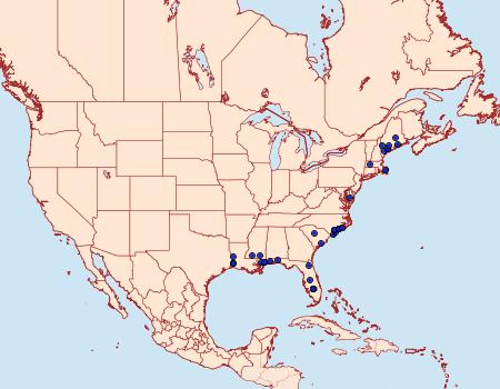 Distribution Data for Dichomeris bipunctellus
