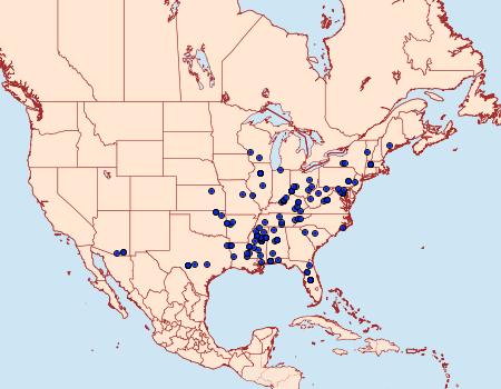 Distribution Data for Dichomeris ventrellus