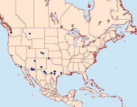 Distribution Data for Dichomeris simpliciella