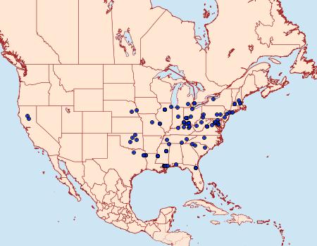 Distribution Data for Homadaula anisocentra