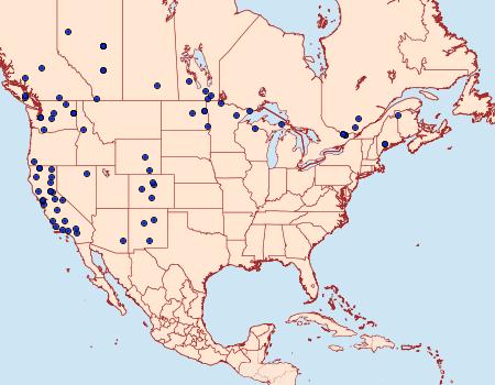 Distribution Data for Ypsolopha canariella