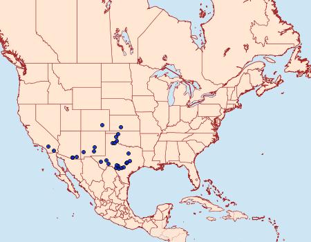 Distribution Data for Eichlinia grandis