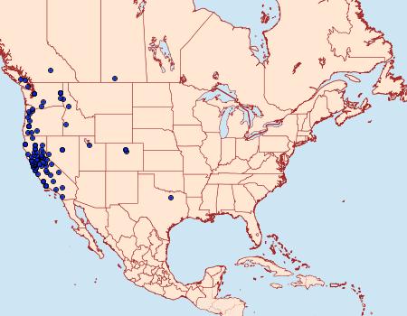 Distribution Data for Synanthedon bibionipennis