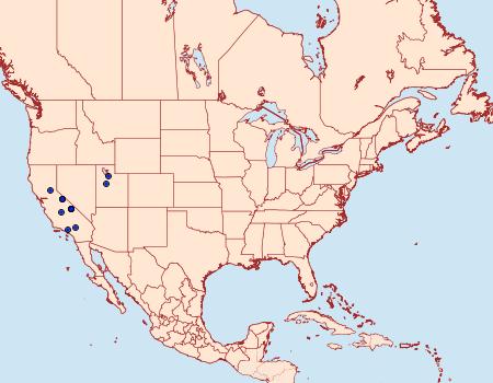 Distribution Data for Givira ethela