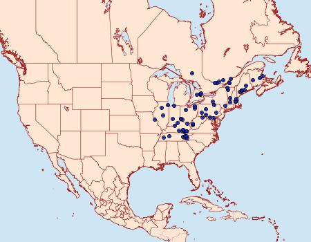 Distribution Data for Olethreutes nigranum
