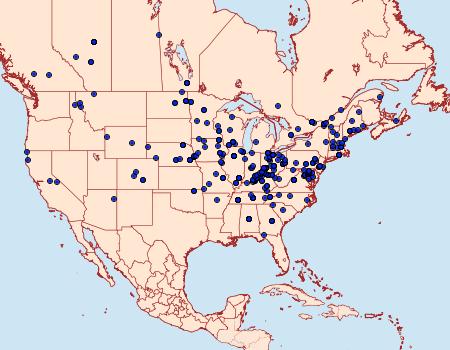 Distribution Data for Celypha cespitana