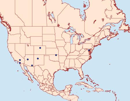 Distribution Data for Rhyacionia bushnelli