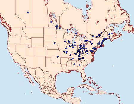 Distribution Data for Eucosma ochroterminana