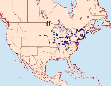Distribution Data for Eucosma tomonana