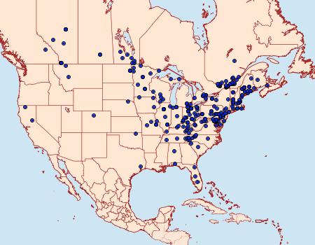 Distribution Data for Eucosma parmatana