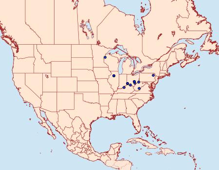 Distribution Data for Eucosma kokana