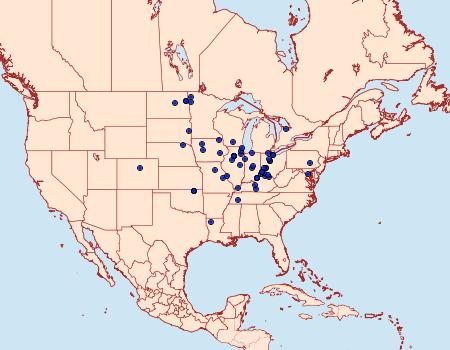 Distribution Data for Eucosma glomerana