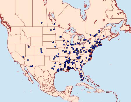 Distribution Data for Xylesthia pruniramiella