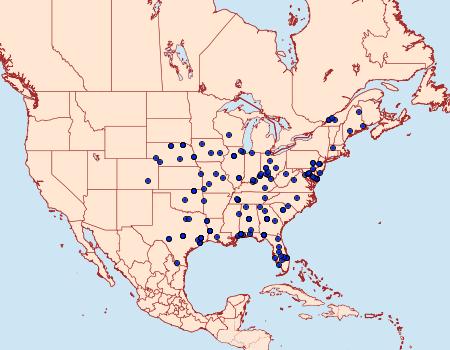 Distribution Data for Epiblema abruptana