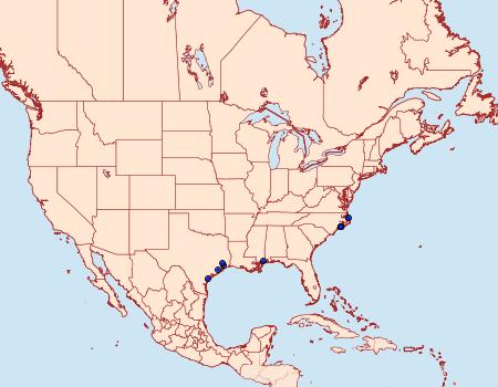 Distribution Data for Epiblema praesumptiosa