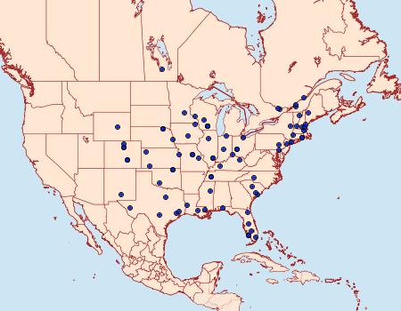 Distribution Data for Epiblema tripartitana