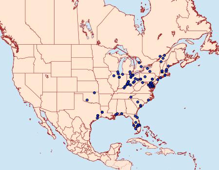 Distribution Data for Epiblema desertana