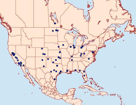 Distribution Data for Suleima helianthana