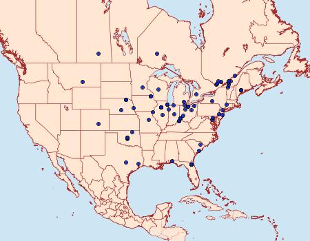 Distribution Data for Gypsonoma haimbachiana