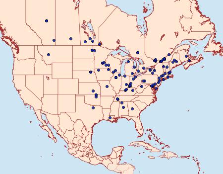 Distribution Data for Proteoteras crescentana