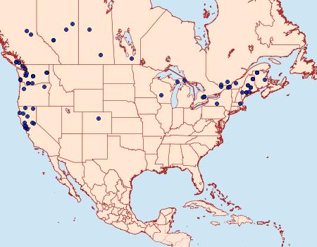 Distribution Data for Epinotia radicana