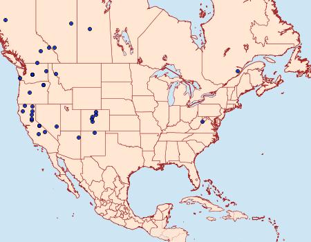 Distribution Data for Epinotia castaneana