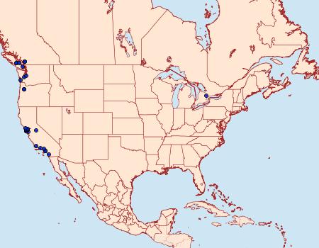 Distribution Data for Epinotia subviridis