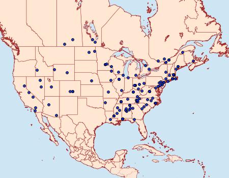 Distribution Data for Amydria effrenatella
